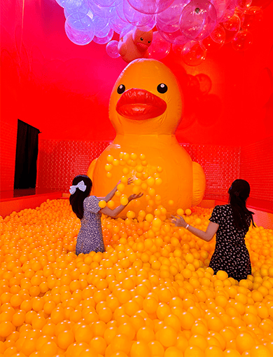 duck-jcastle